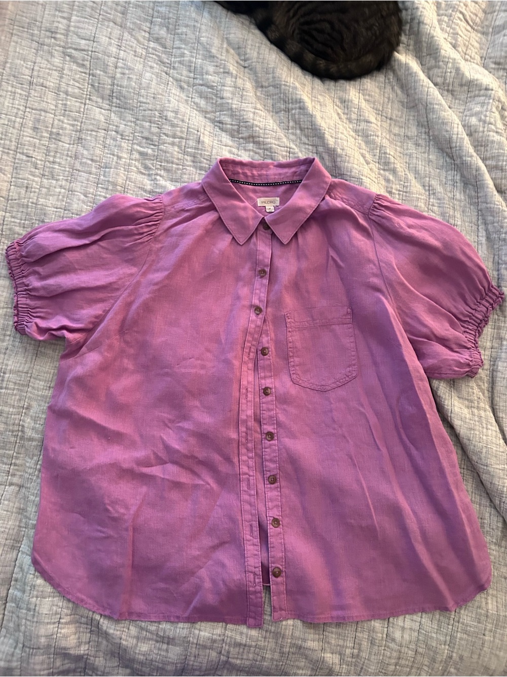 Pilcro Pink Short Sleeve Button Front Blouse